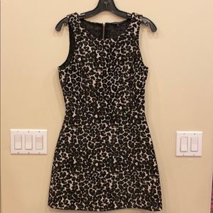 Felicity ad Coco velvet cheetah dress cut out back